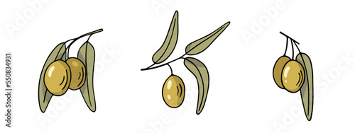 Olive branch set, hand-drawn doodle sketch. Twigs with leaves and fruits outline. Simple minimalistic design.Food menu or cosmetic concept decoration. Isolated. Vector illustration