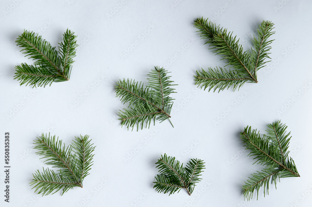 Obraz premium Christmas fletlay from spruce twigs on a white background