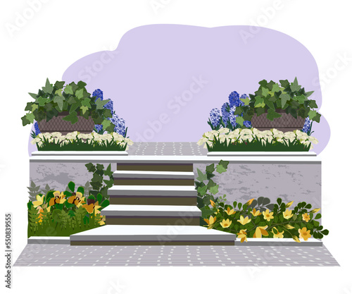 Landscape garden design. Garden flower beds with blooming cascading flowers, fern, flower pots, stairs. Vector illustration