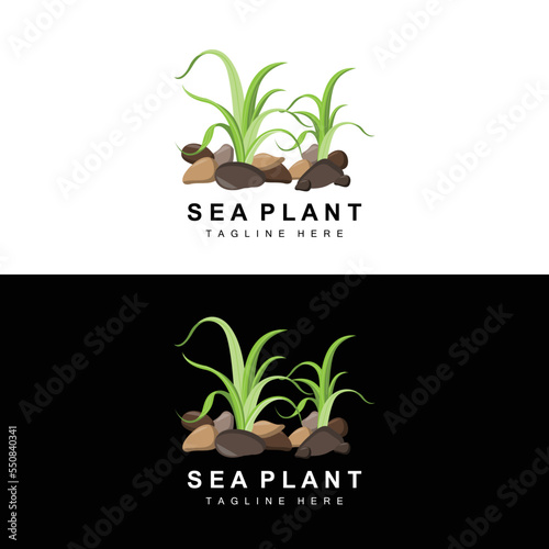 Seaweed Logo, Sea Plants Vector Design, Grocery And Nature Protection