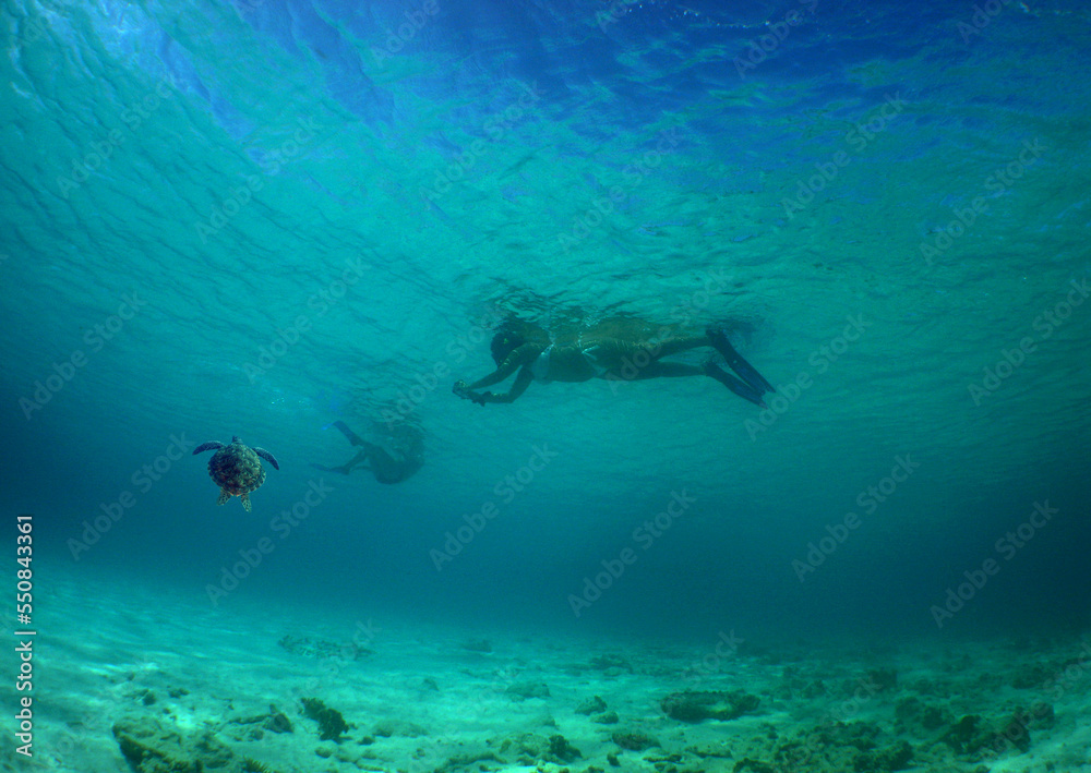 Free diving off the coast of the Caribbean island of Curacao Free diving off the coast of the Caribbean island of Curacao