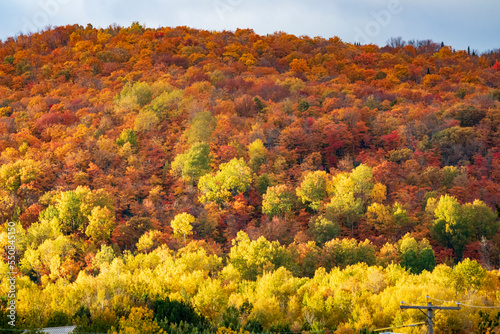 Forest with fall colors at La Mauricie national park in Quebec. Canada. photo