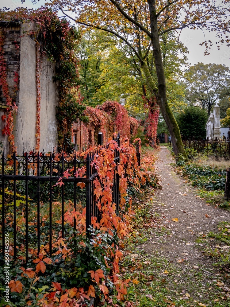 Obraz premium Autumnal melancholy, cemetery, Mehringdamm, Berlin Kreuzberg