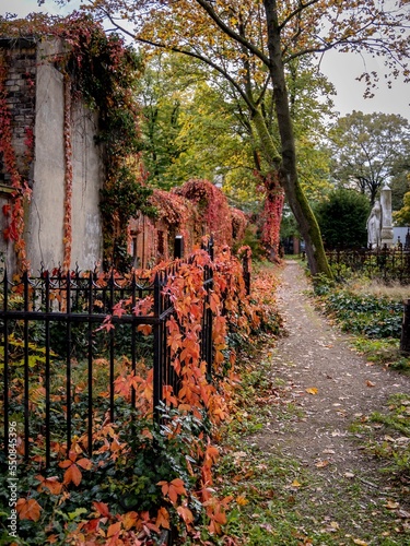 Autumnal melancholy, cemetery, Mehringdamm, Berlin Kreuzberg