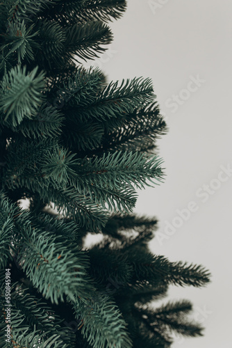 New Year's Christmas tree on a white background, Christmas tree for Christmas celebration