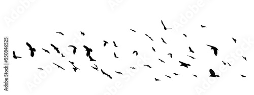 Slika na platnu A flock of flying birds. Free birds. Vector illustration