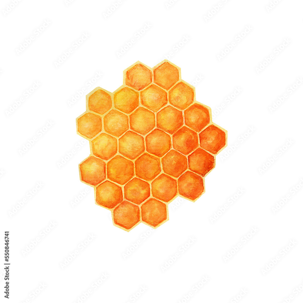 Honeycomb with  honey. Watercolor illustration isolated on white background.