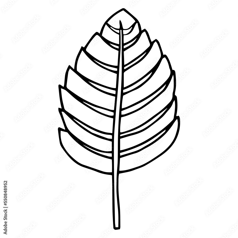 Simple hand drawn doodle. Strawberry leaf. Leave silhouette vector for