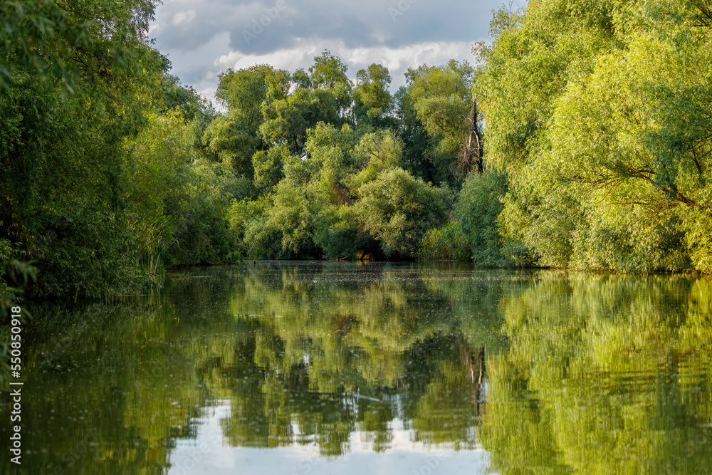 The swamps of the Danube Delta in Romania