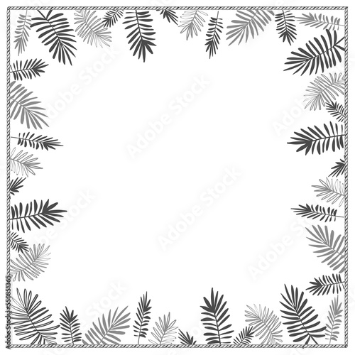 Palm tree graphic border frame on white background