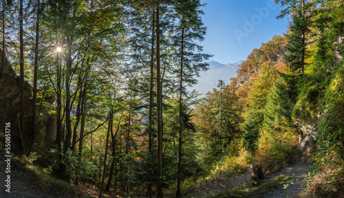 Morning sun through trees on an alpine walk in autumn in the Grisons, Switzerland