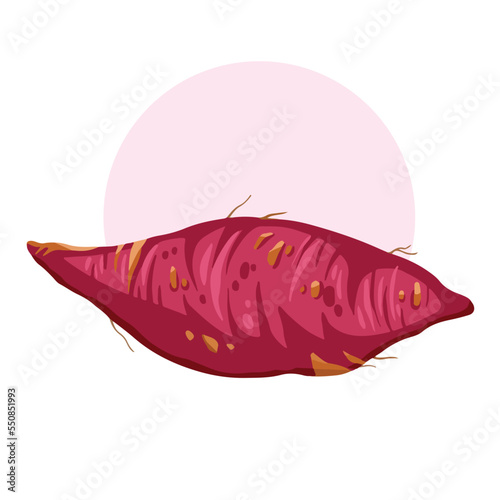 Purple sweet potato vector illustration isolated on plain white background with simple geometric light purple background. Food ubi jalar drawing with cartoon flat art style pictogram. photo
