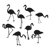 Black silhouette flamingo logo vector illustration set.