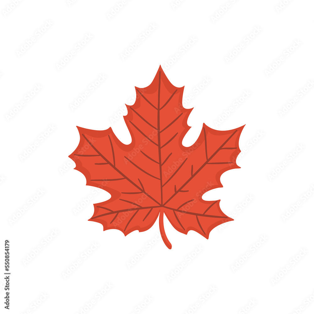 Naklejka premium One autumn red maple leaf. Vector flat icon illustration.