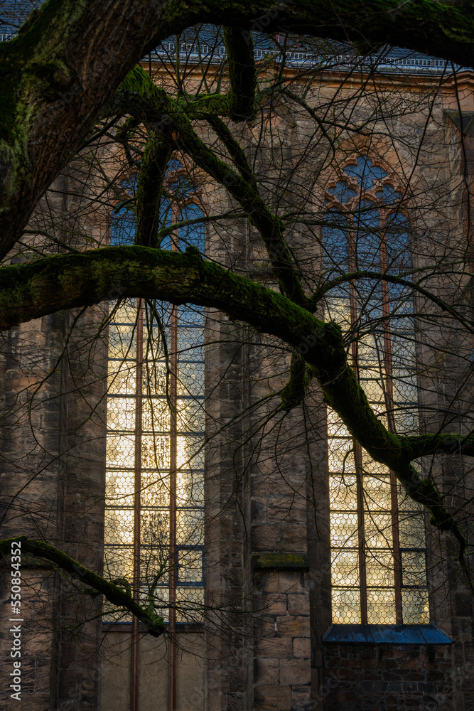 Obraz premium Kirchenfenster außen, Universitätskiche 