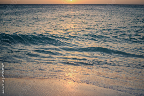 Beach shore at sunset
