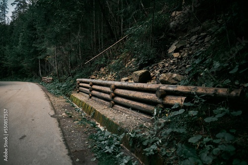 Wooden retaining wall to prevent soil from falling in the national park. A natural retaining wall made of wood logs.; photo