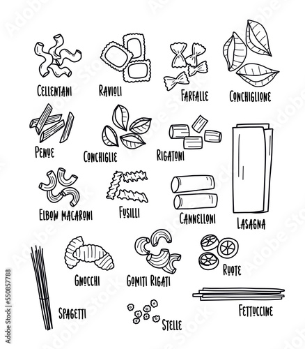 Types of Italian pasta. Pasta illustration in doodle style.