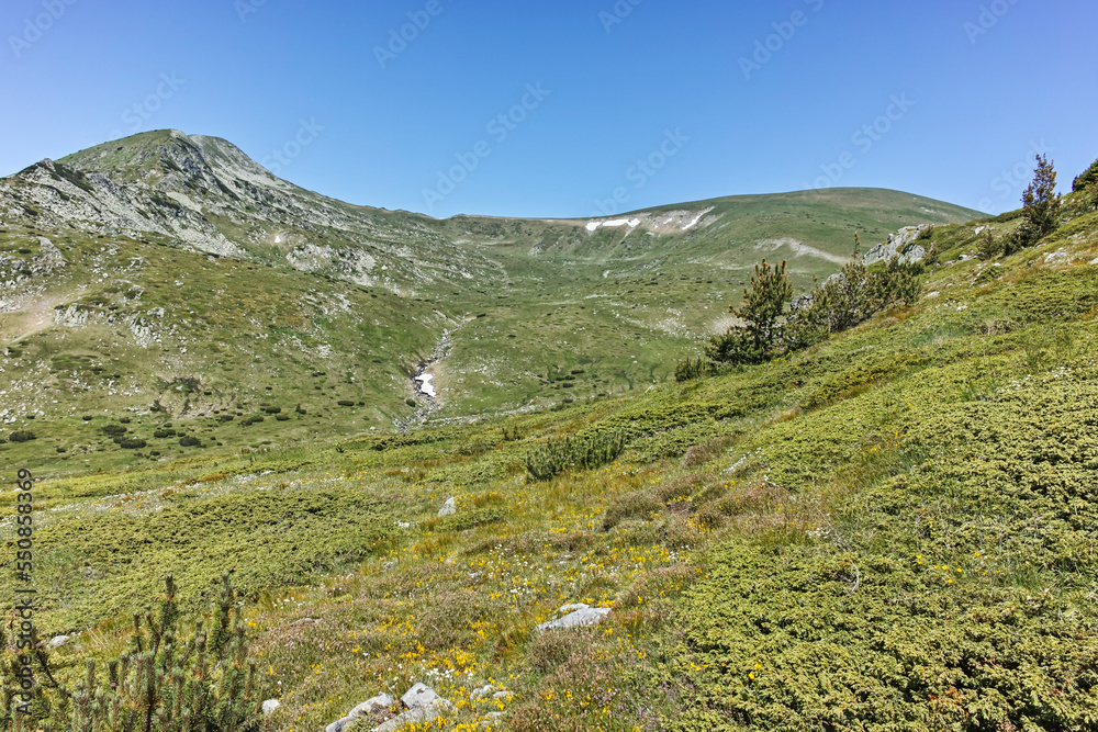 Summer view of Rila mountain near Belmeken Reservoir, Bulgaria Summer view of Rila mountain near Belmeken Reservoir, Bulgaria