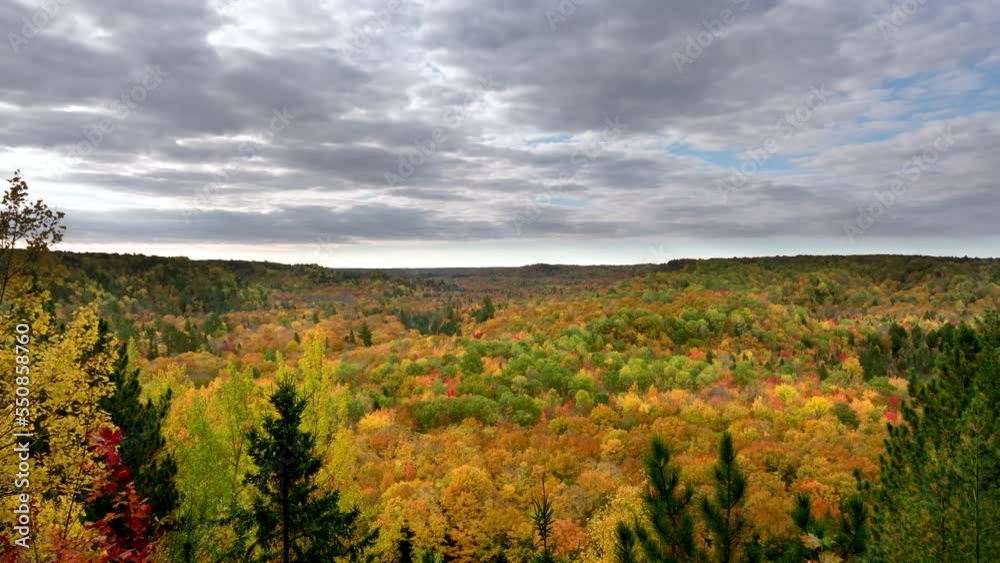 A slow drone shot leaving the interior of a forest to an amazing view of a river valley in full fall color A slow drone shot leaving the interior of a forest to an amazing view of a river valley in full fall color