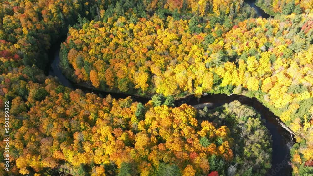 The Sturgeon River valley in full autumn color in Michigan's Upper Peninsula vídeo de Stock