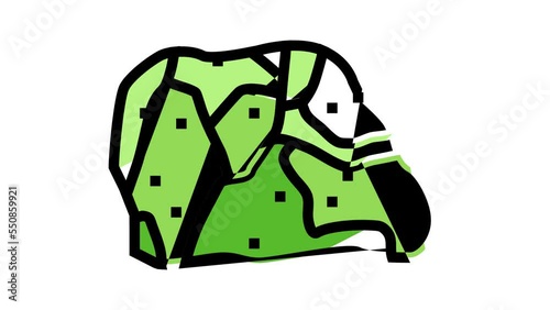 peridot stone rock color icon animation photo