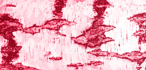 Foto auf Acrylglas Pantone 2023 Viva Magenta Trendy color 2023. Via magenta color background  © Juliana