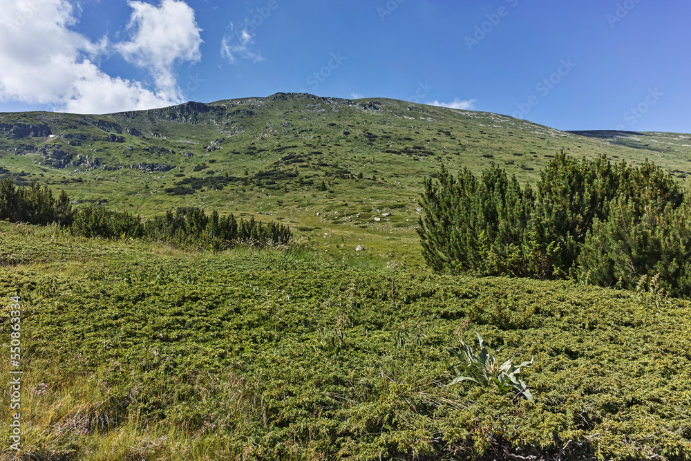 Obraz premium Summer view of Rila mountain near Belmeken Reservoir, Bulgaria