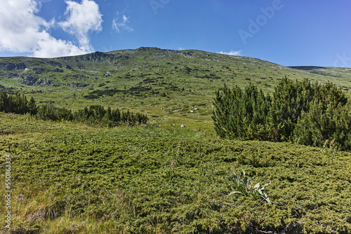 Summer view of Rila mountain near Belmeken Reservoir  Bulgaria