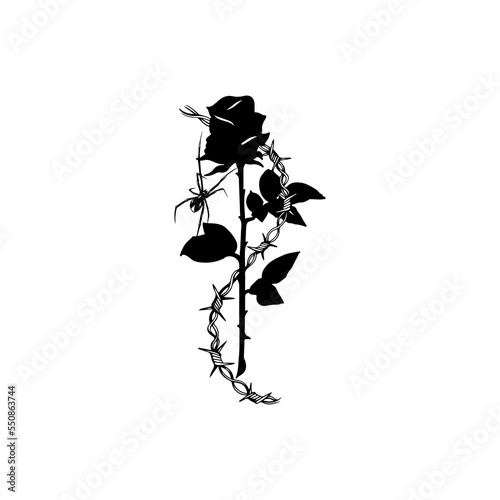 vector illustration of a rose with barbed wire