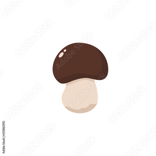 Porcini. Boletus Edulis. Forest mushroom. Vector illustration in flat style.