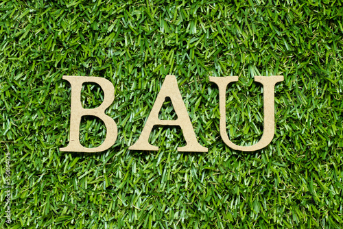 Wood alphabet letter in word BAU (abbreviation of business as usual) on green grass background