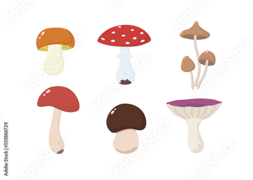 Set with forest mushrooms. Vector illustration in flat style.