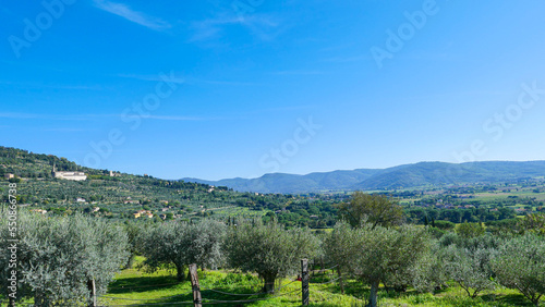 Italian landscape: you can see olive trees, fields, and mountains, which are illuminated by the sun.