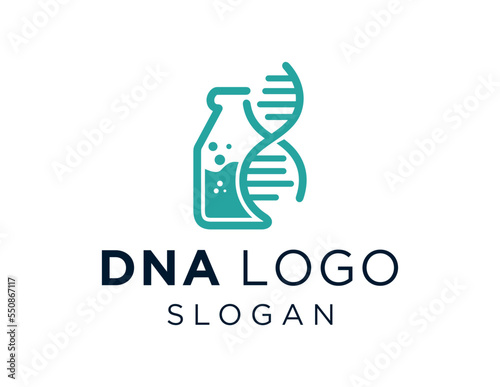Logo design about DNA on a white background. created using the CorelDraw application.