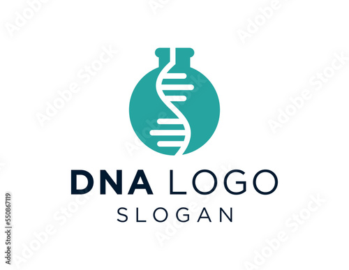 Logo design about DNA on a white background. created using the CorelDraw application.