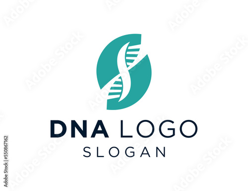 Logo design about DNA on a white background. created using the CorelDraw application.