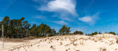 Beautiful landscape panorama, dune Czolpinska close to Baltic See, Slowinski National Park, Poland photo