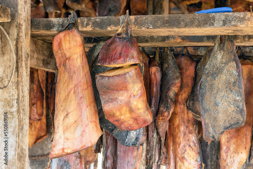 Shark meat drying and fermenting, traditional food Iceland