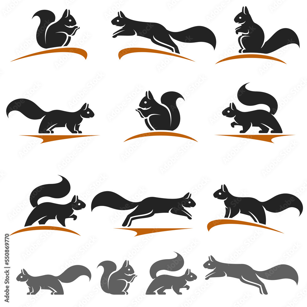Squirrel set. Collection squirrel icons. Vector