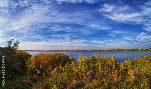 Lake shore with reeds  blue sky and white clouds