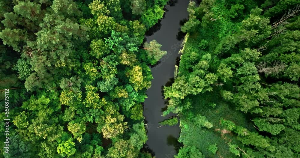 Curvy river and forests. Aerial view of wildlife in Poland Curvy river and forests. Aerial view of wildlife in Poland