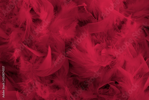 background of magenta feathers beautiful tactile soft surfaces and texture © Ekaterina