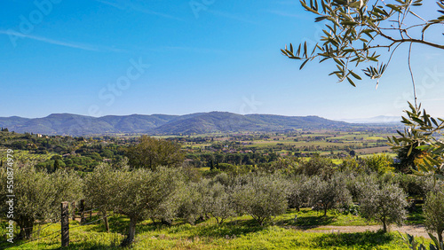 Italian landscape: you can see olive trees, fields, and mountains, which are illuminated by the sun.