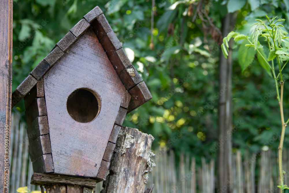 Hand made wooden shelter, bird house, placed on the tree in forest, birdwatchers stop place to enjoy ornithology 