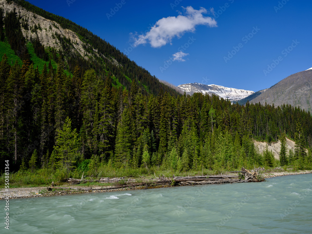 Green glacial silt laden waters of the Kicking Horse River flow along the mountains of Canada
