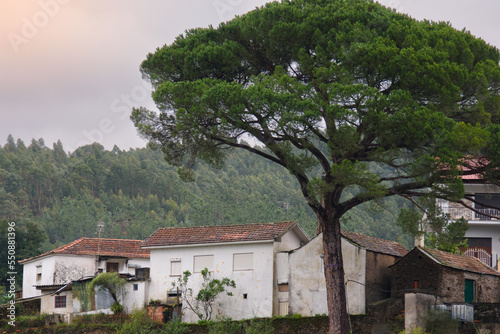 Landscape and architectural views along the Douro Valley in Portugal