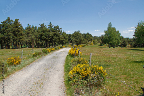 Chemin de randonnée Compostelle GR65