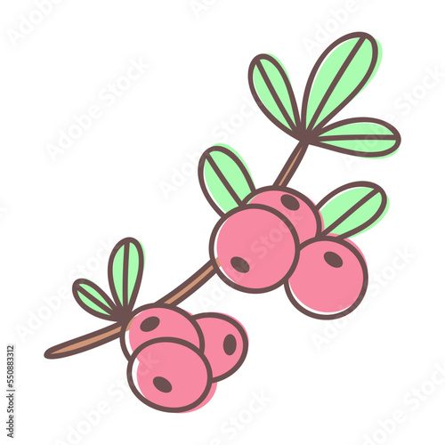 Cranberry
