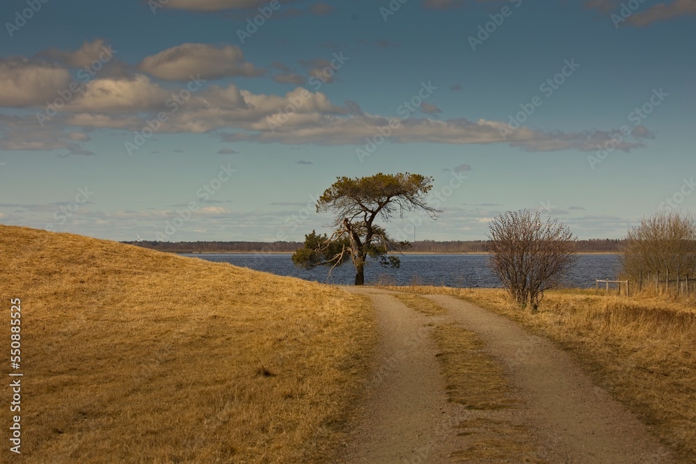 When the Common cranes fly to Sweden, they take a break at Hornborgarsjön before continuing to their nesting sites When the Common cranes fly to Sweden, they take a break at Hornborgarsjön before continuing to their nesting sites